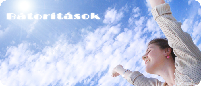 batoritas header